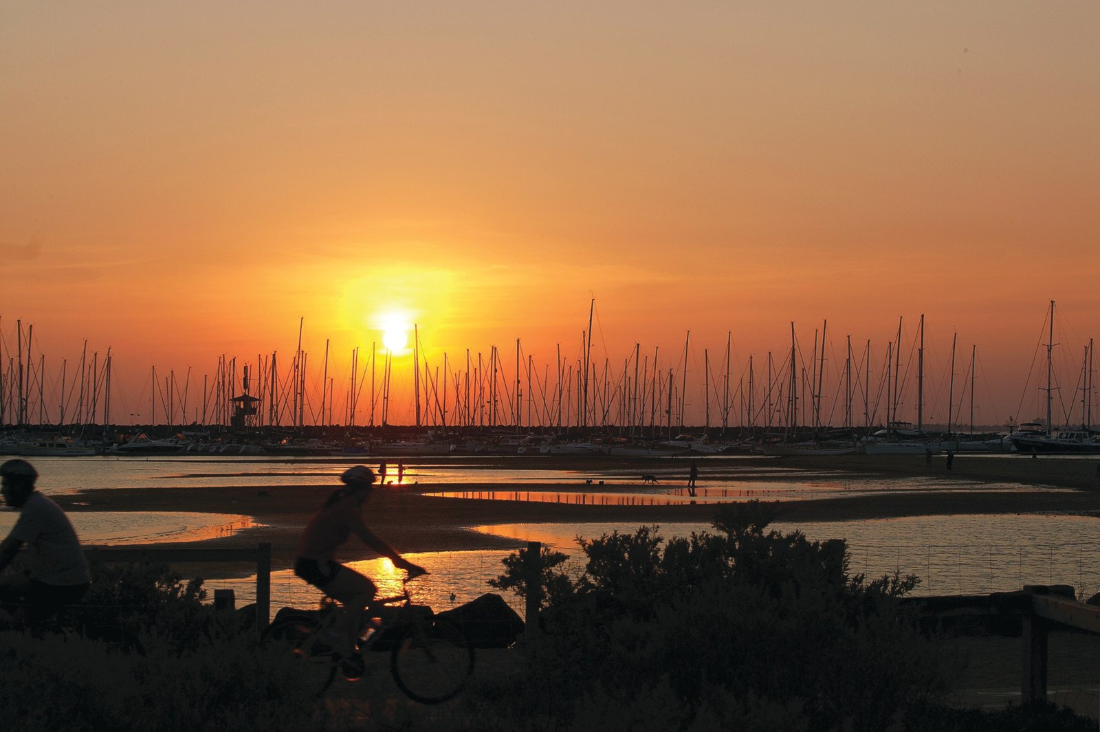 24 Brickwood Street, Brighton, VIC