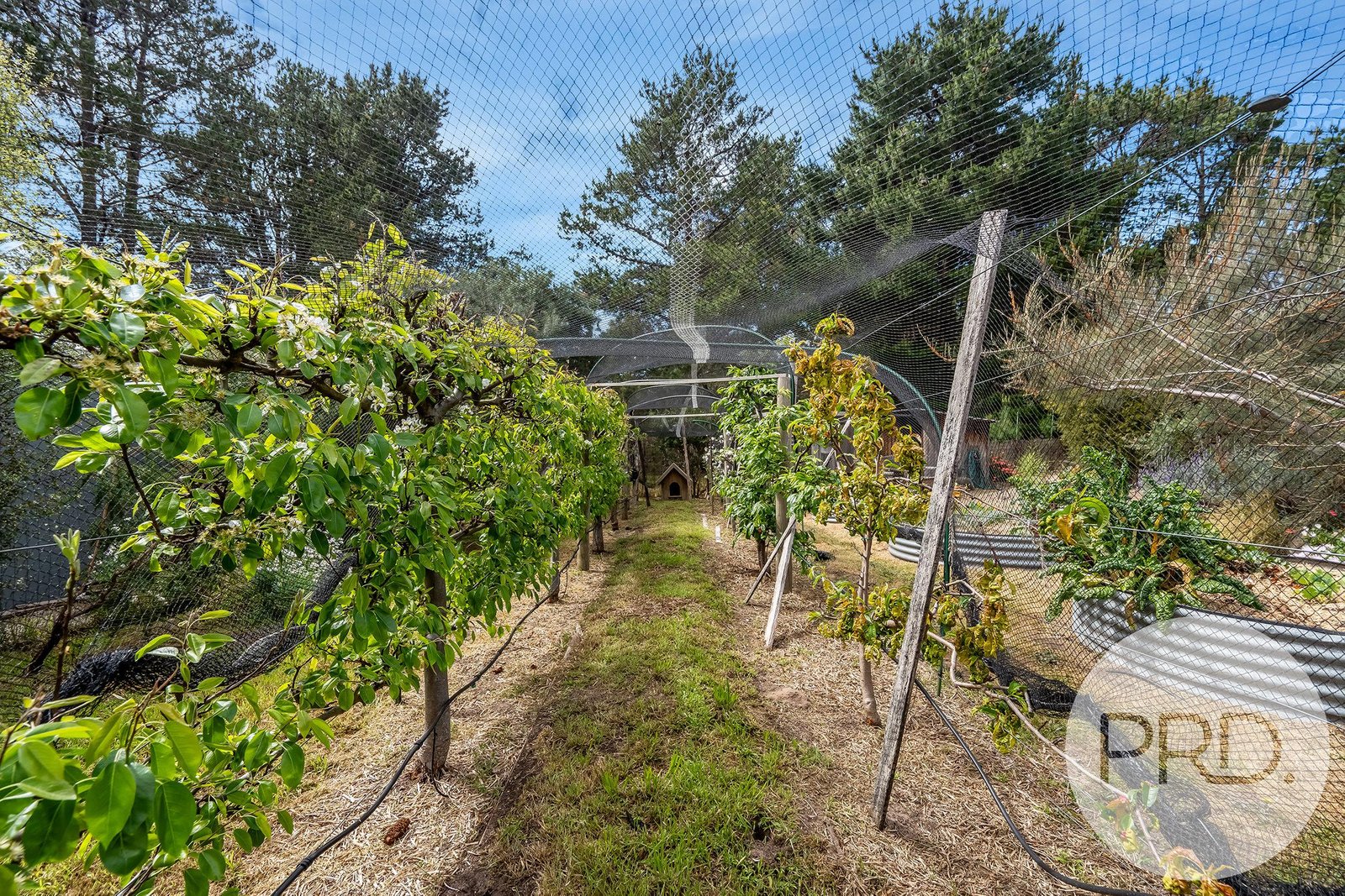 24 Calverton Place SOUTH ARM 21