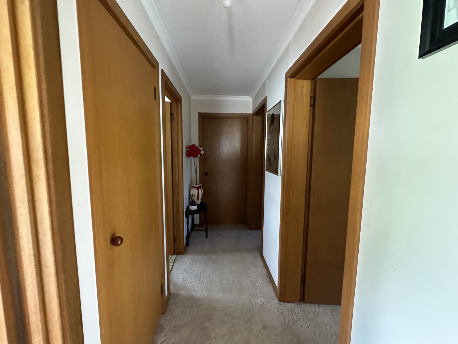 24 Carabost Street TUMBARUMBA 5