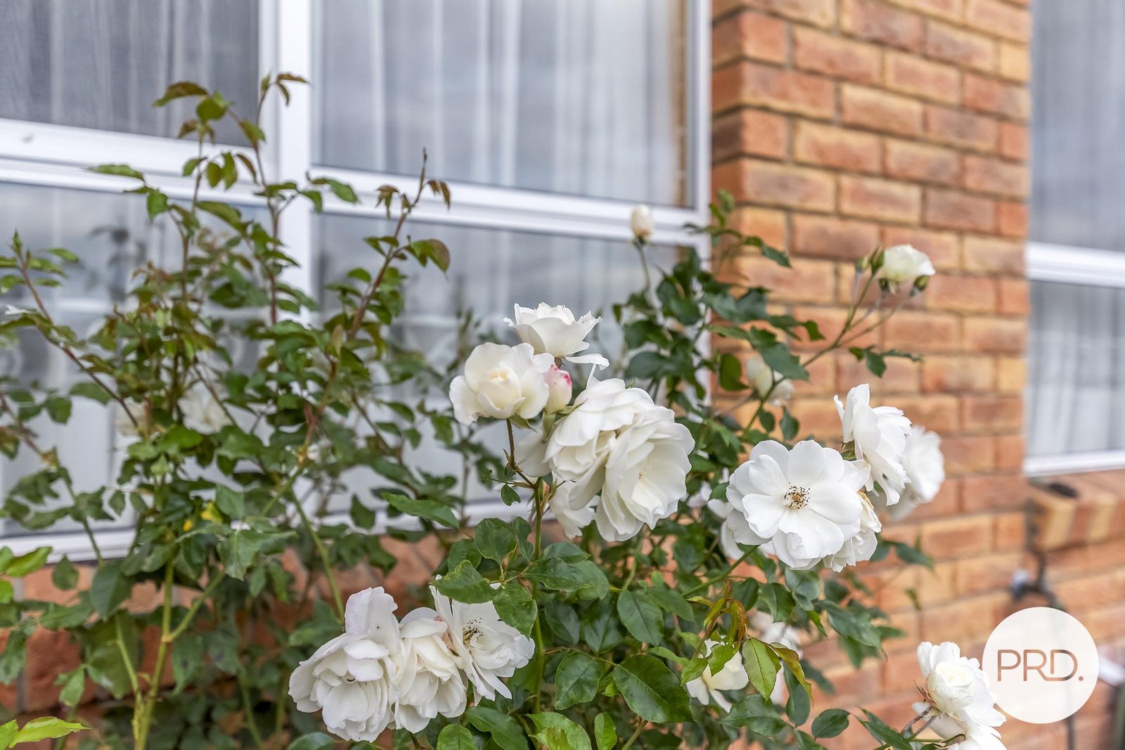 2/4 Chablis Court BERRIEDALE 25