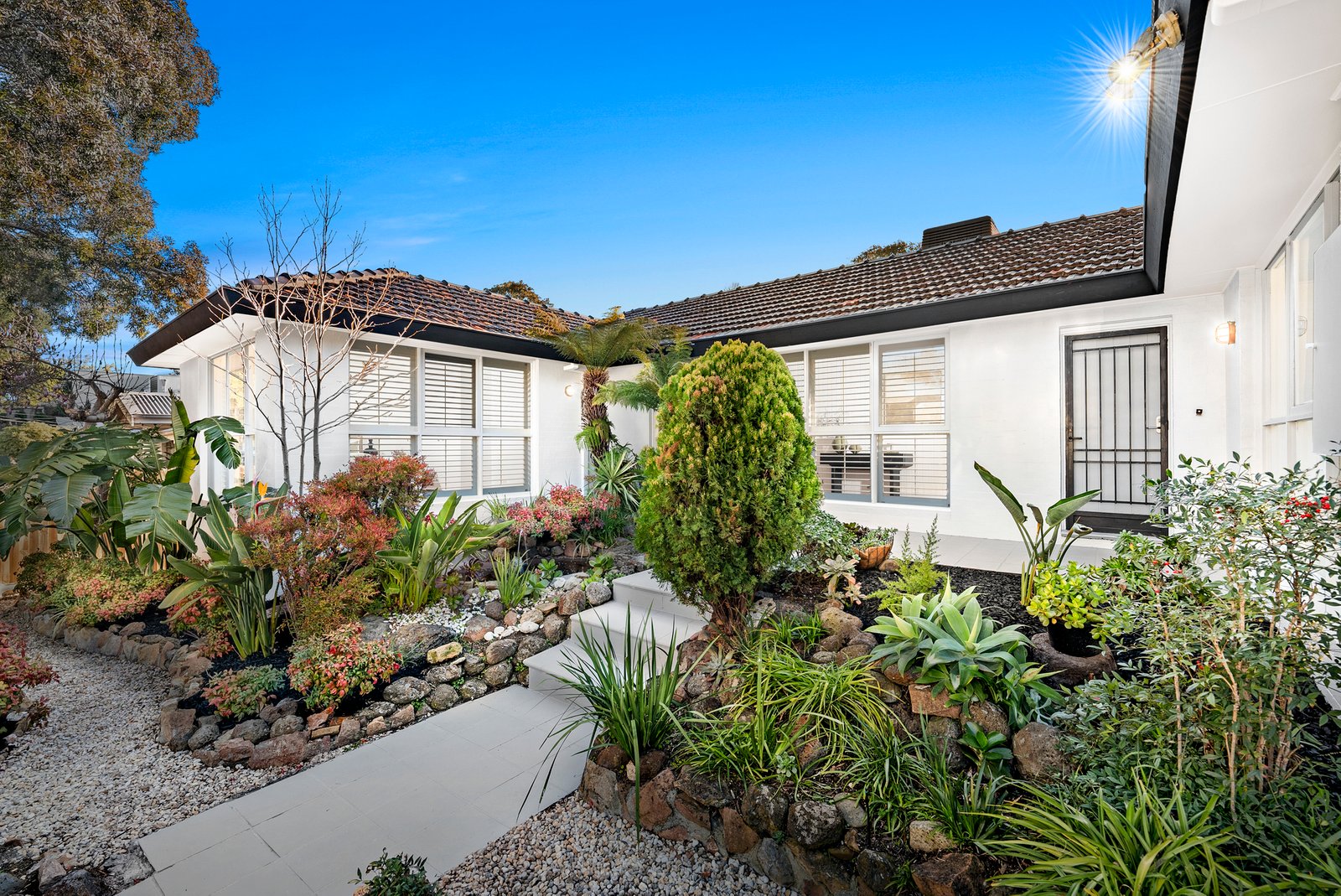 Gallery: 24 Clonmore Street