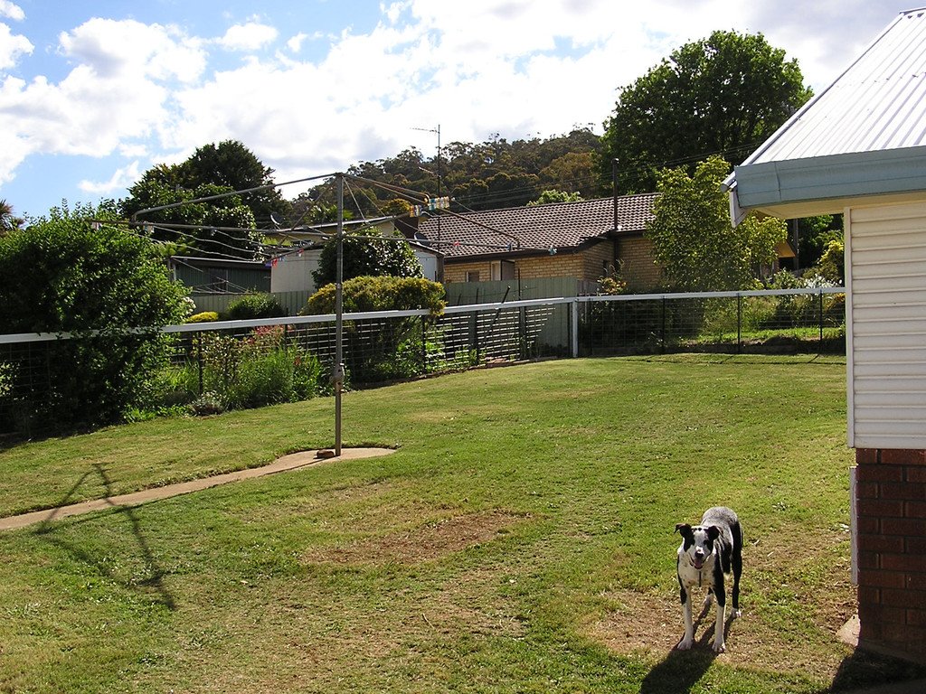 24 Coorabel Avenue BATLOW 15