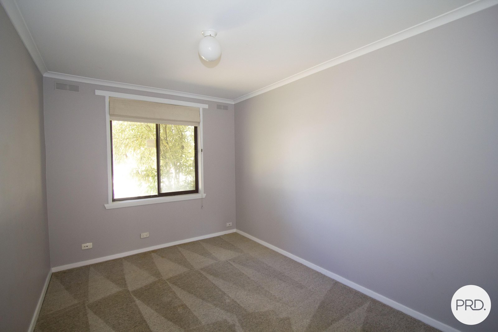 24 Cuthberts Road ALFREDTON 6