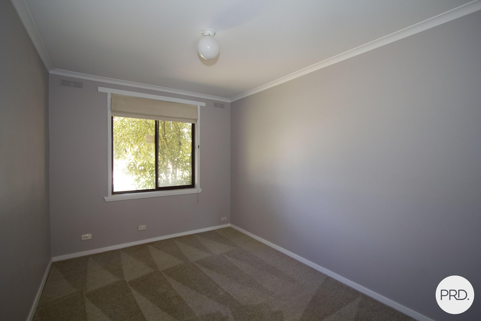 24 Cuthberts Road ALFREDTON 7