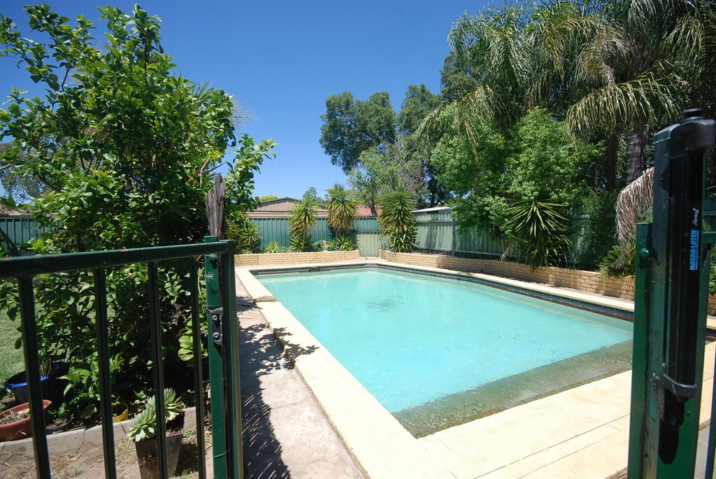 24 Dalman Parkway WAGGA WAGGA 1