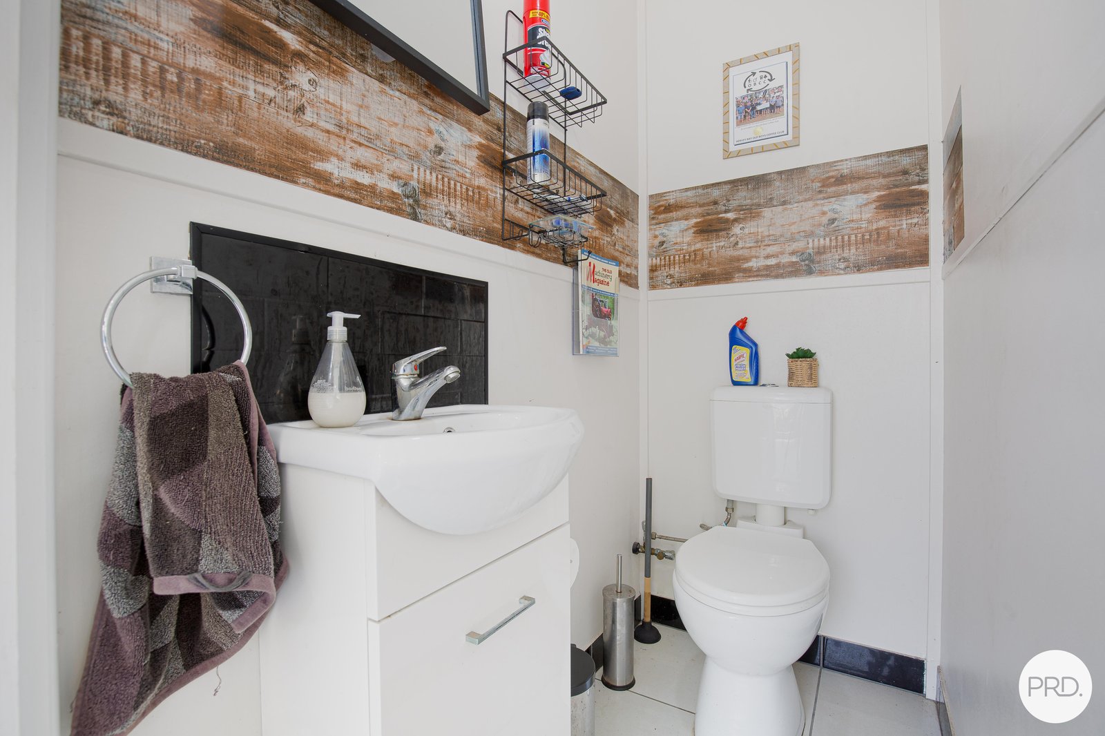 24 Downie Avenue BUCASIA 12