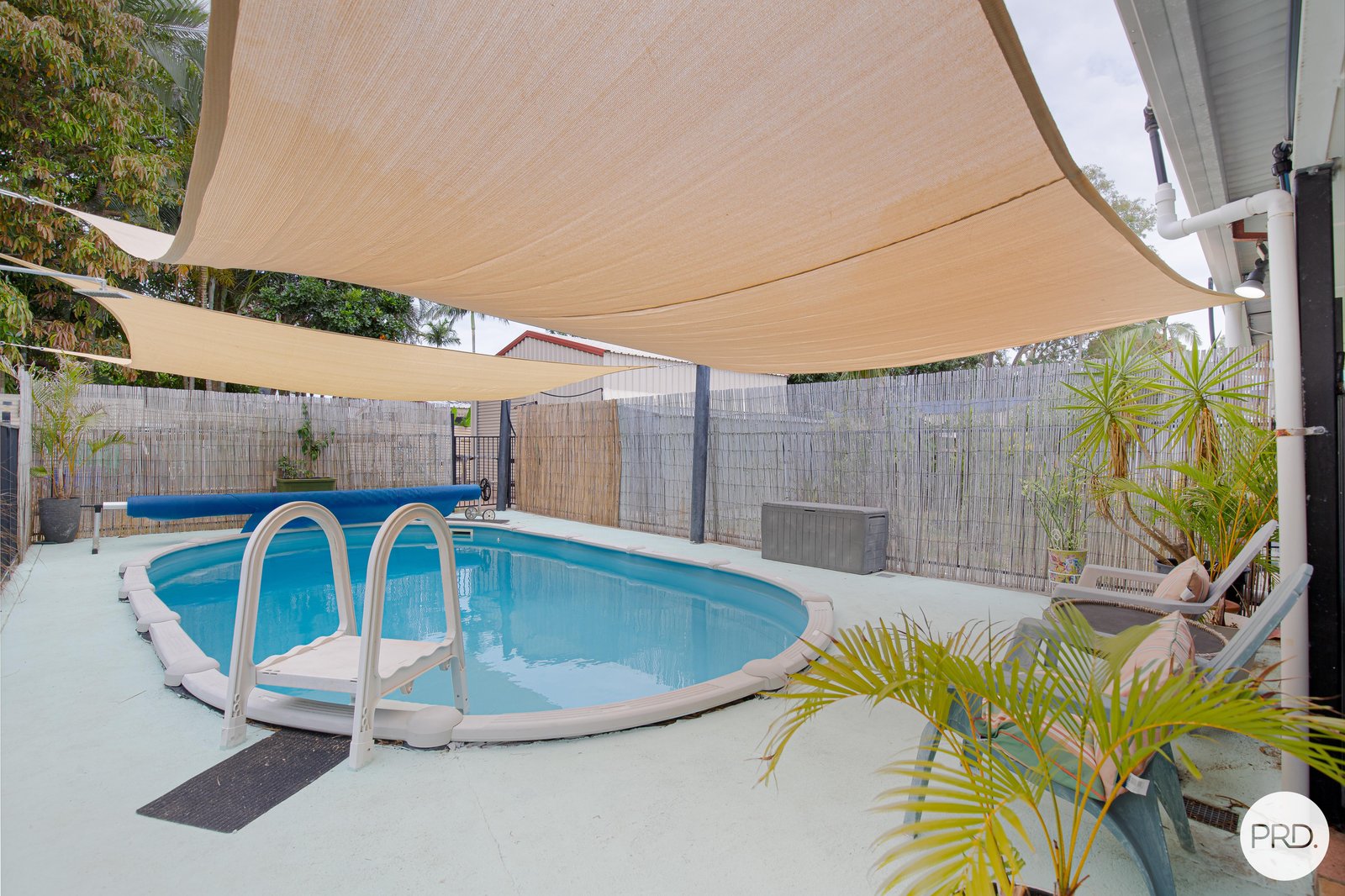 24 Downie Avenue BUCASIA 19