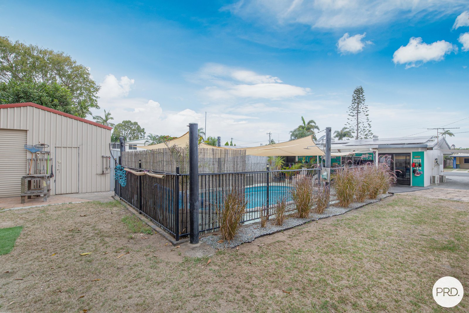 24 Downie Avenue BUCASIA 22