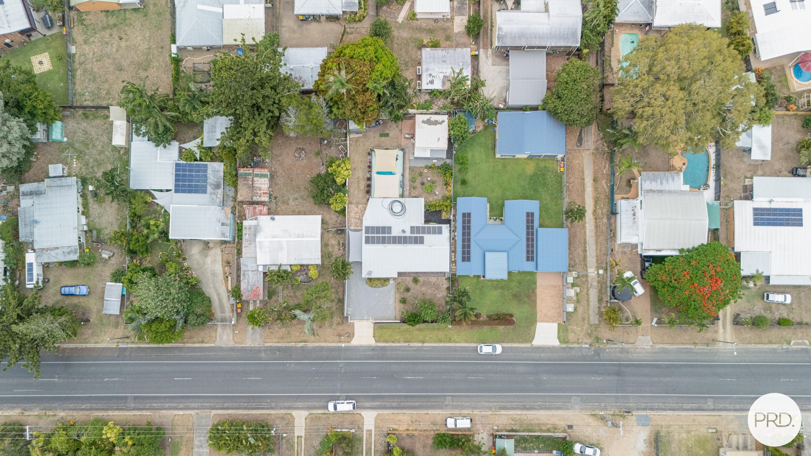 24 Downie Avenue BUCASIA 24