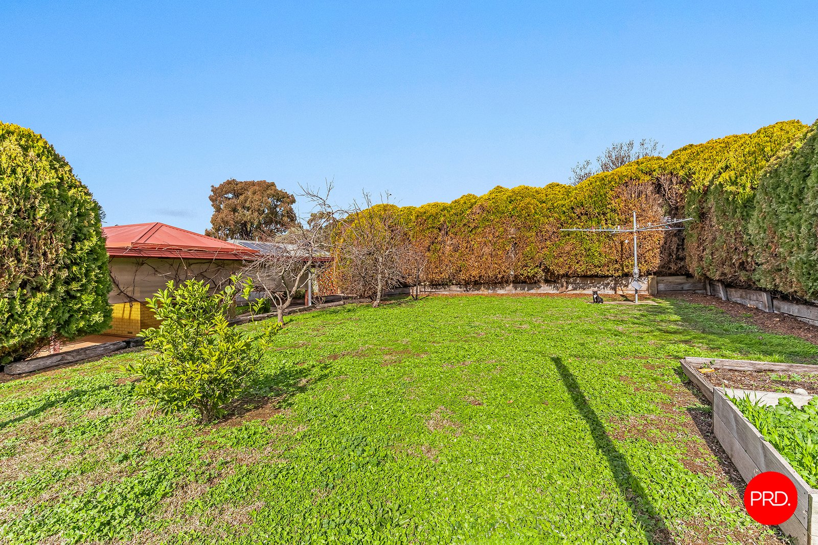 24 Duke Street KANGAROO FLAT 17