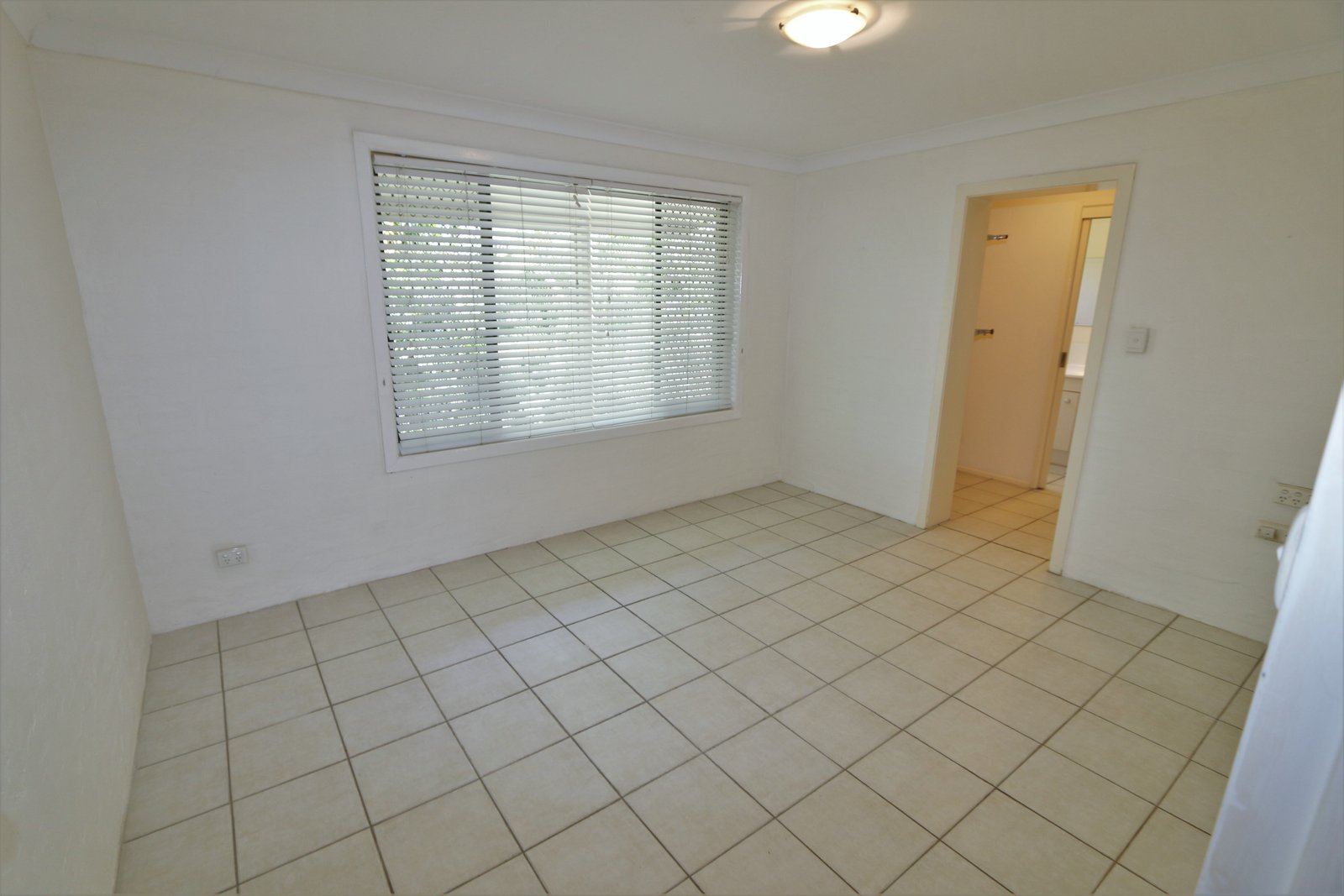 24 Freda Street ASHMORE 7