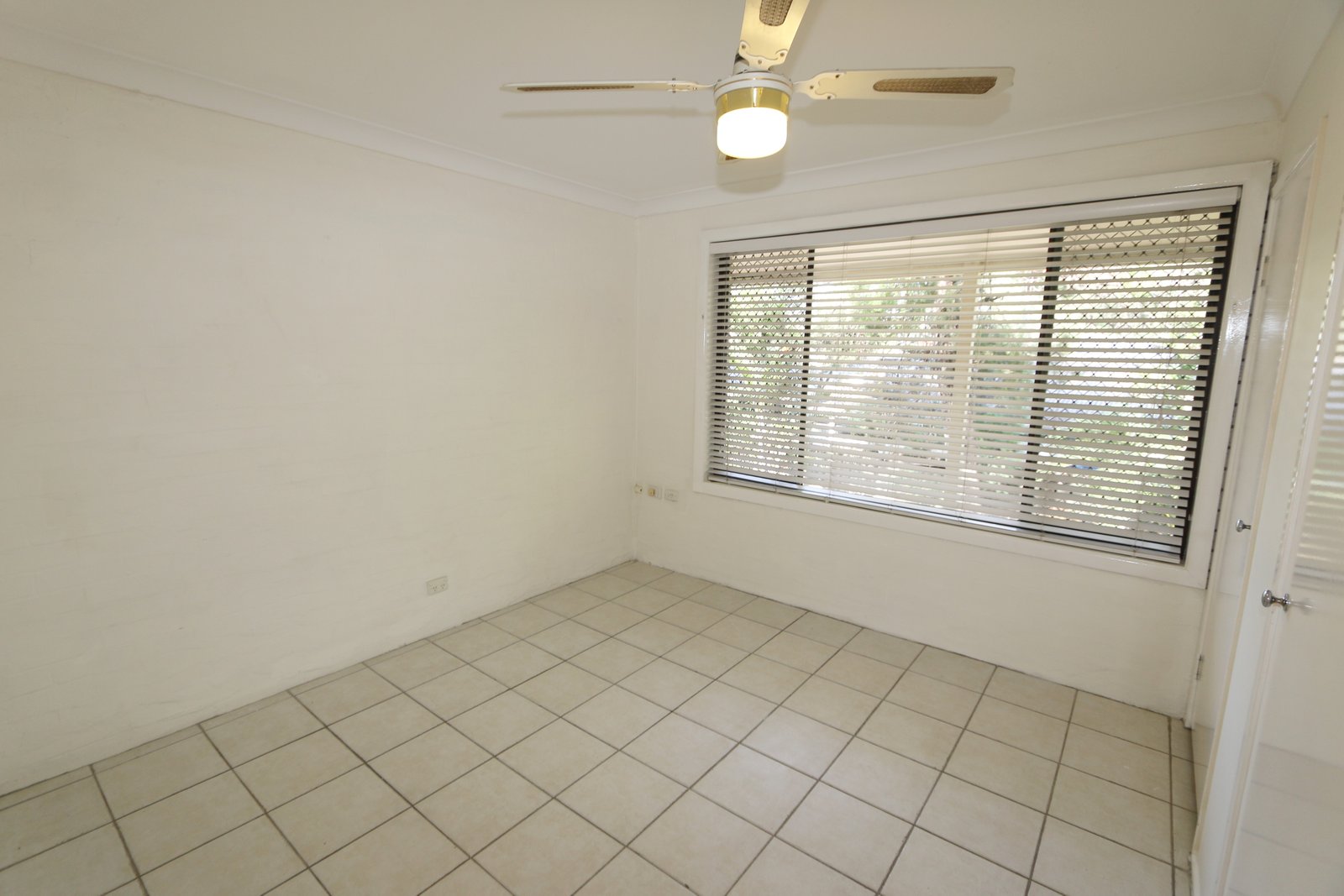 24 Freda Street ASHMORE 8