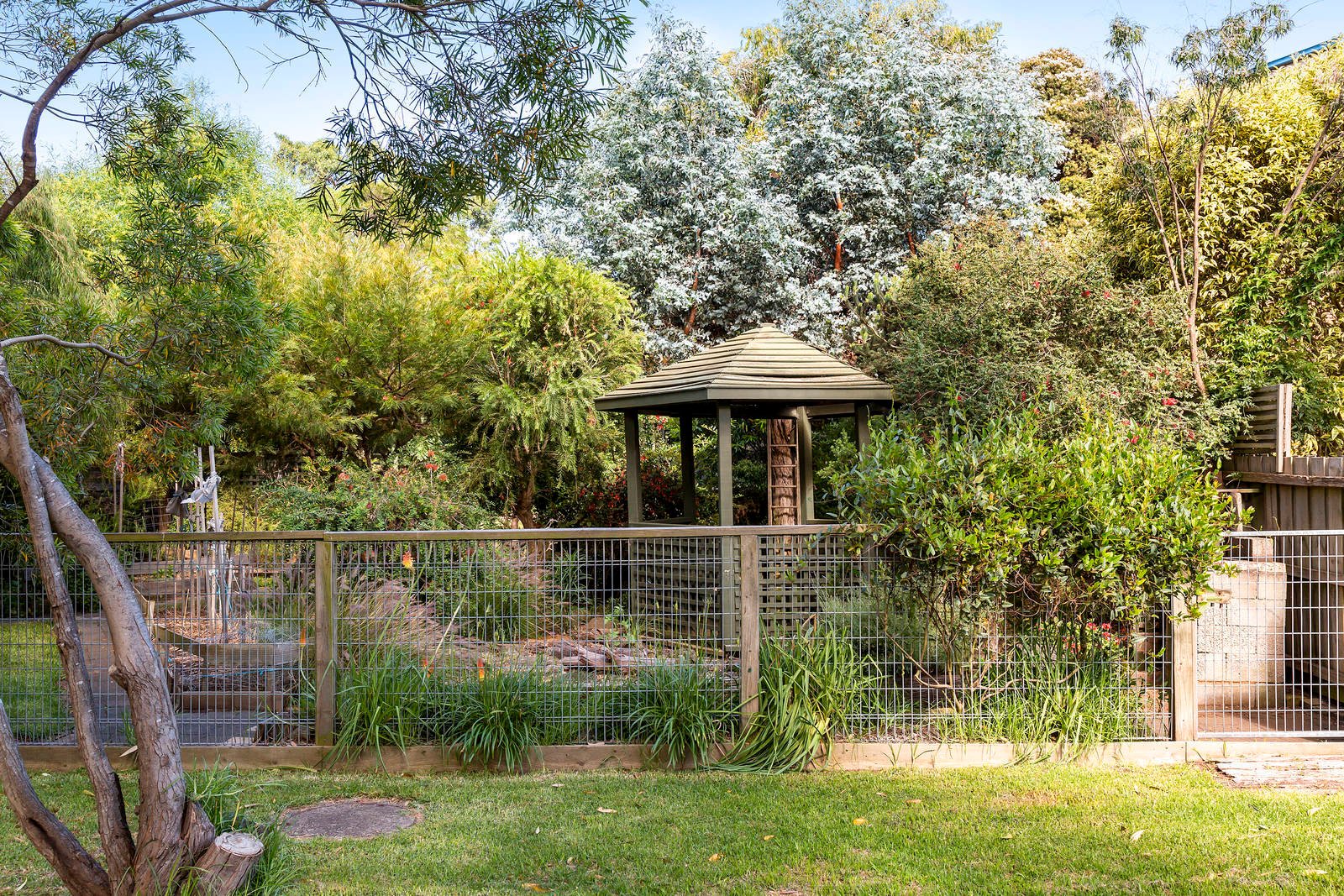 Real Estate and Property in 24 Grubb Road, Ocean Grove, VIC