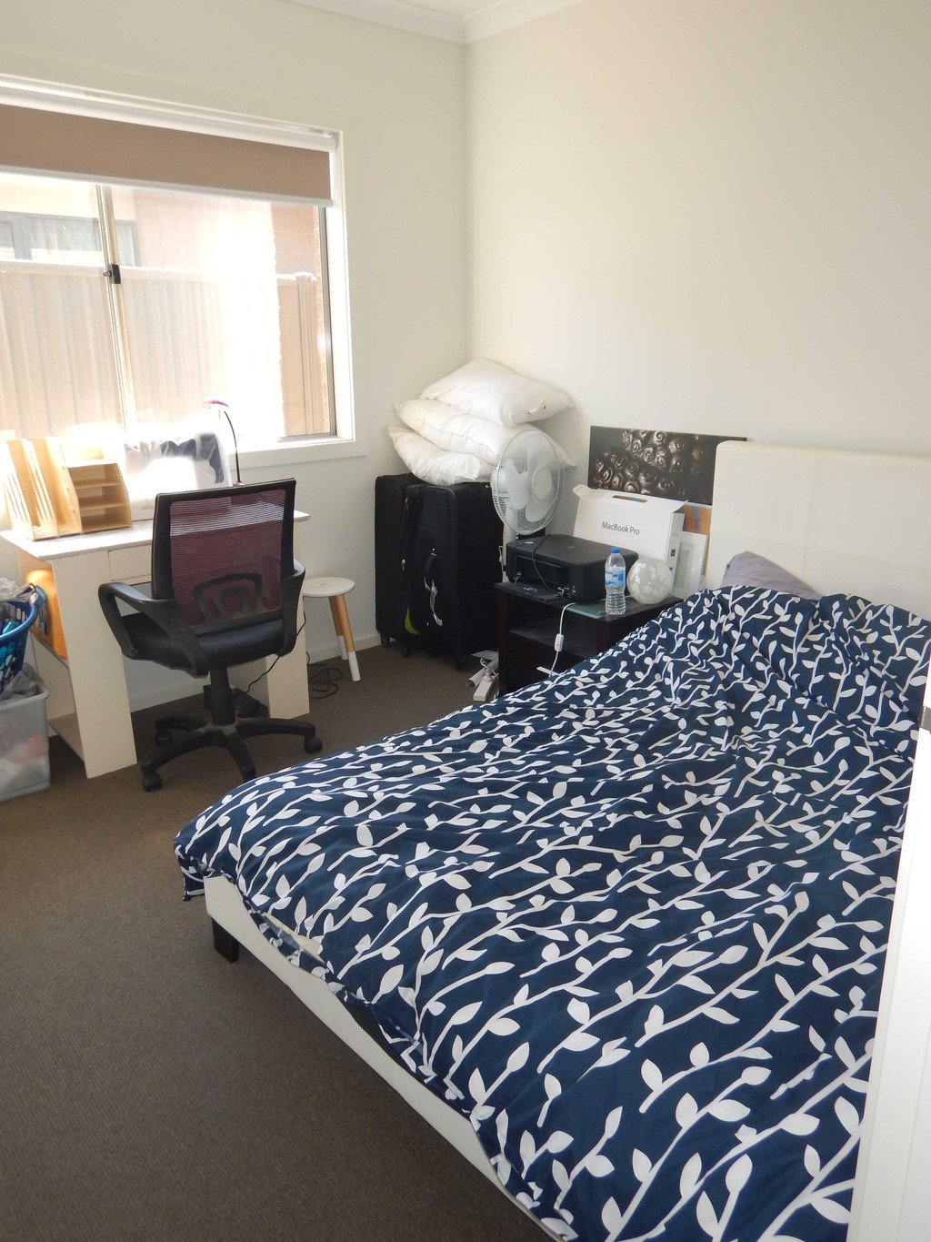 24 Holgate Road Lucas 10