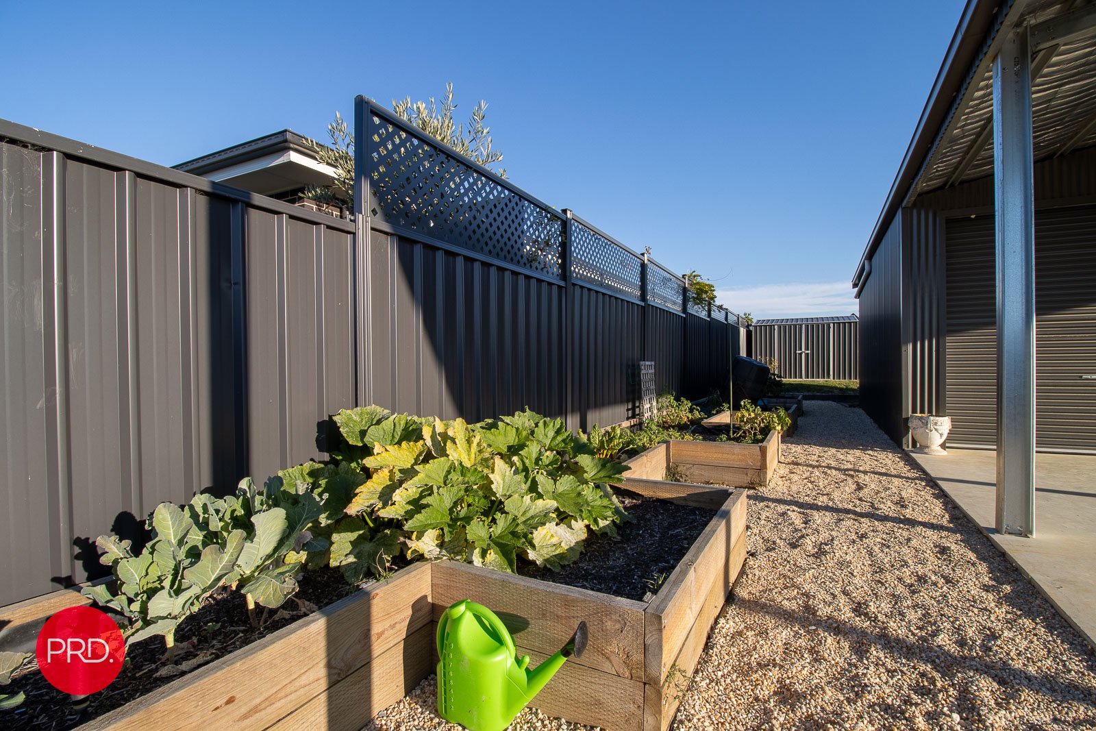 24 Hopkins Street BUNGENDORE 25