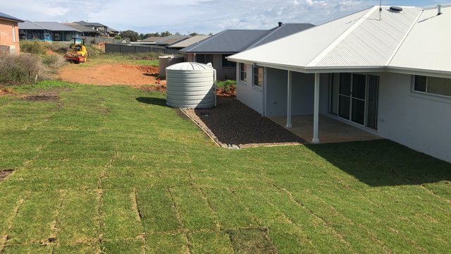 24 Ibis Street TAMWORTH 19