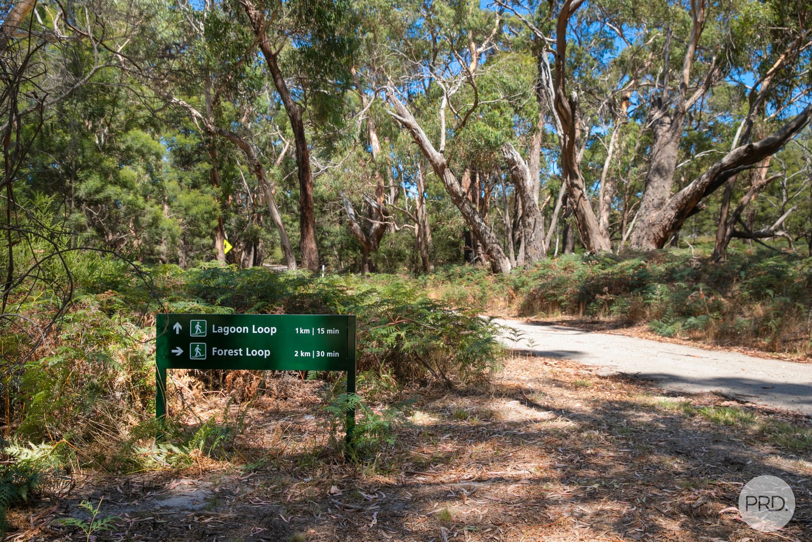 24 Judge Road DEREEL 15