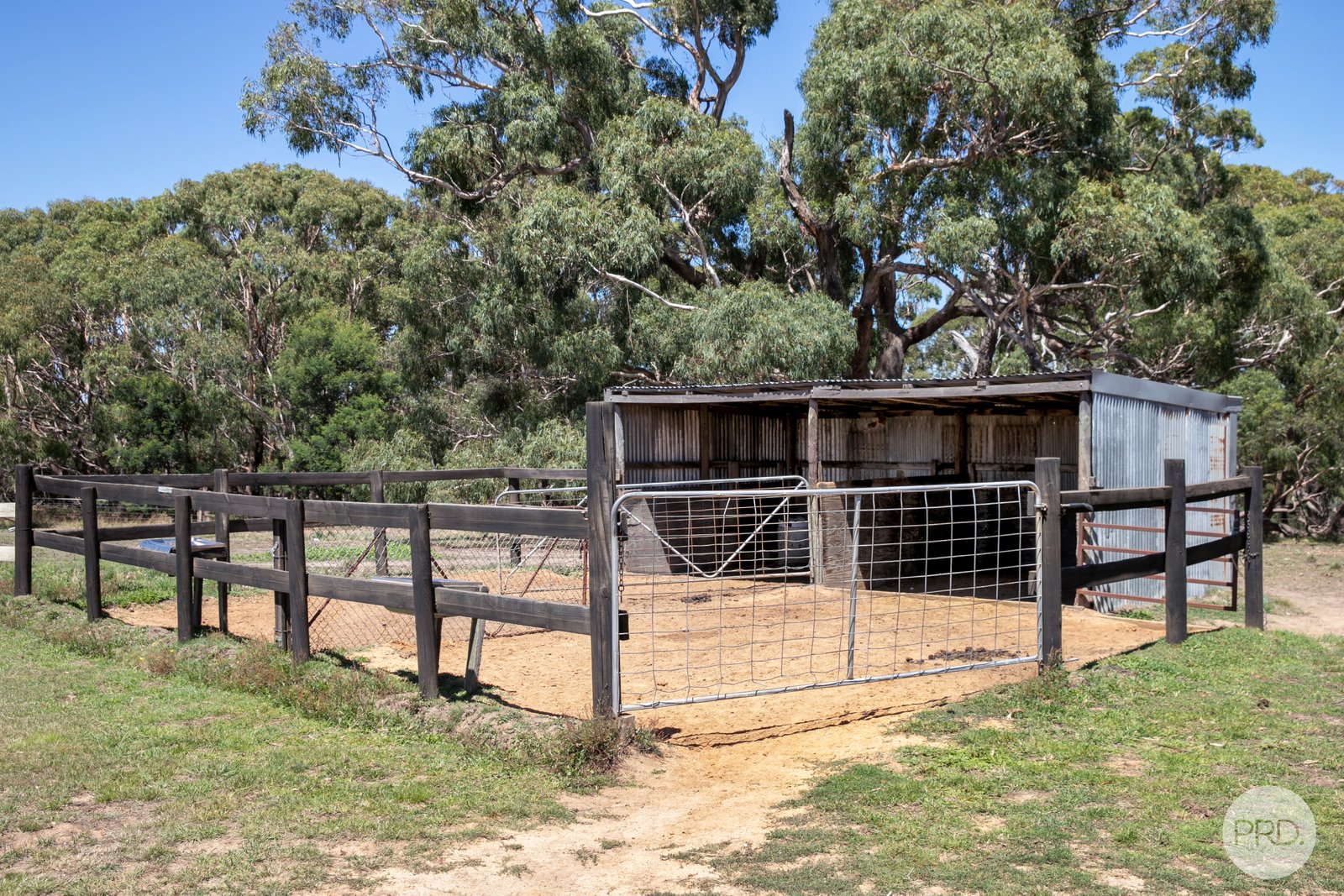 24 Judge Road DEREEL 16