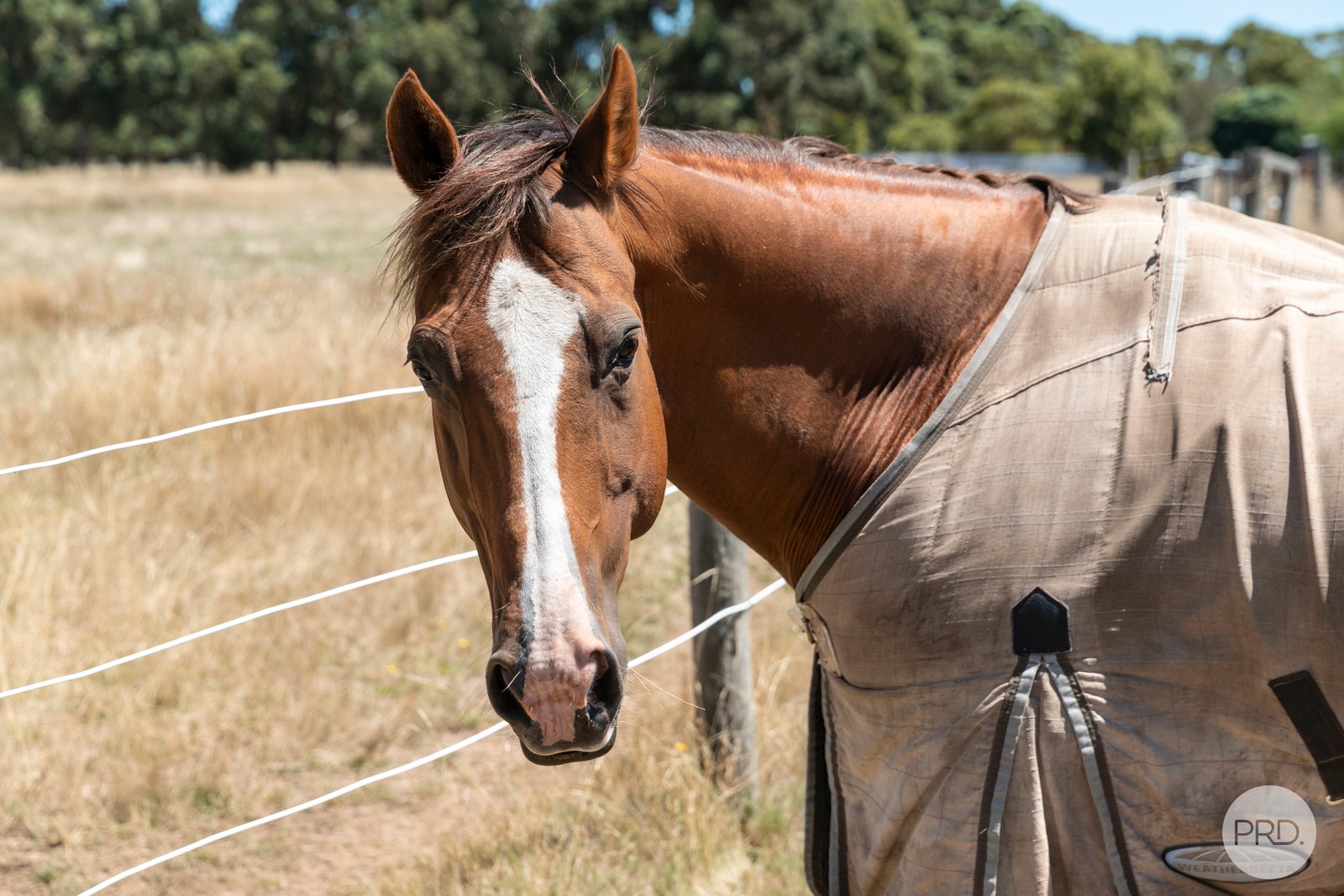 24 Judge Road DEREEL 17