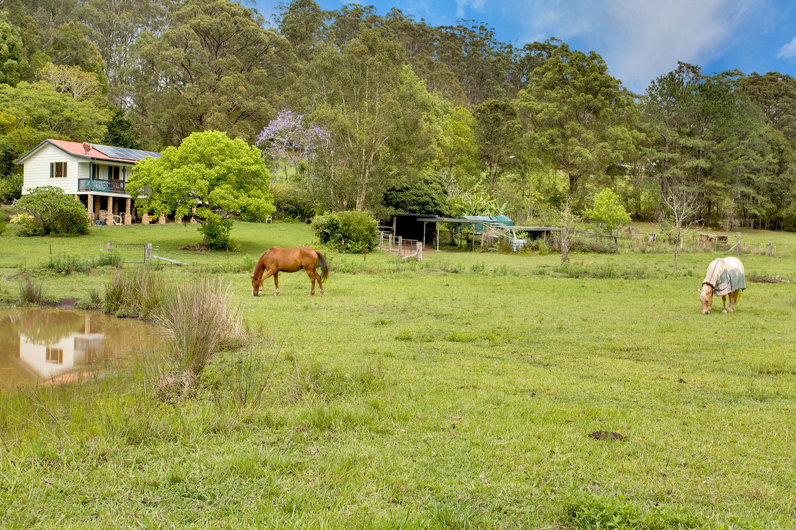 24 Juhles Mountain Road MOORLAND 4