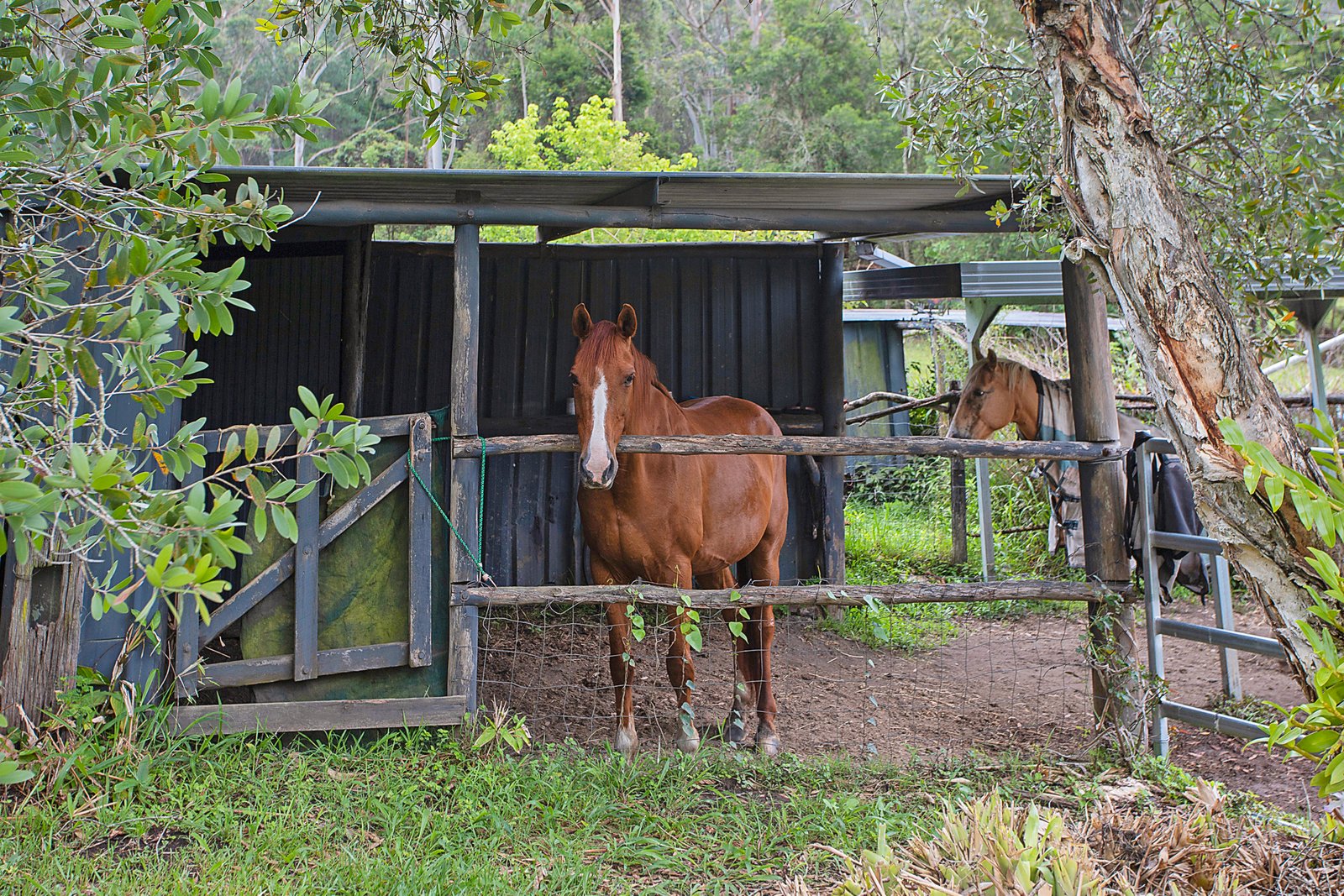 24 Juhles Mountain Road MOORLAND 13