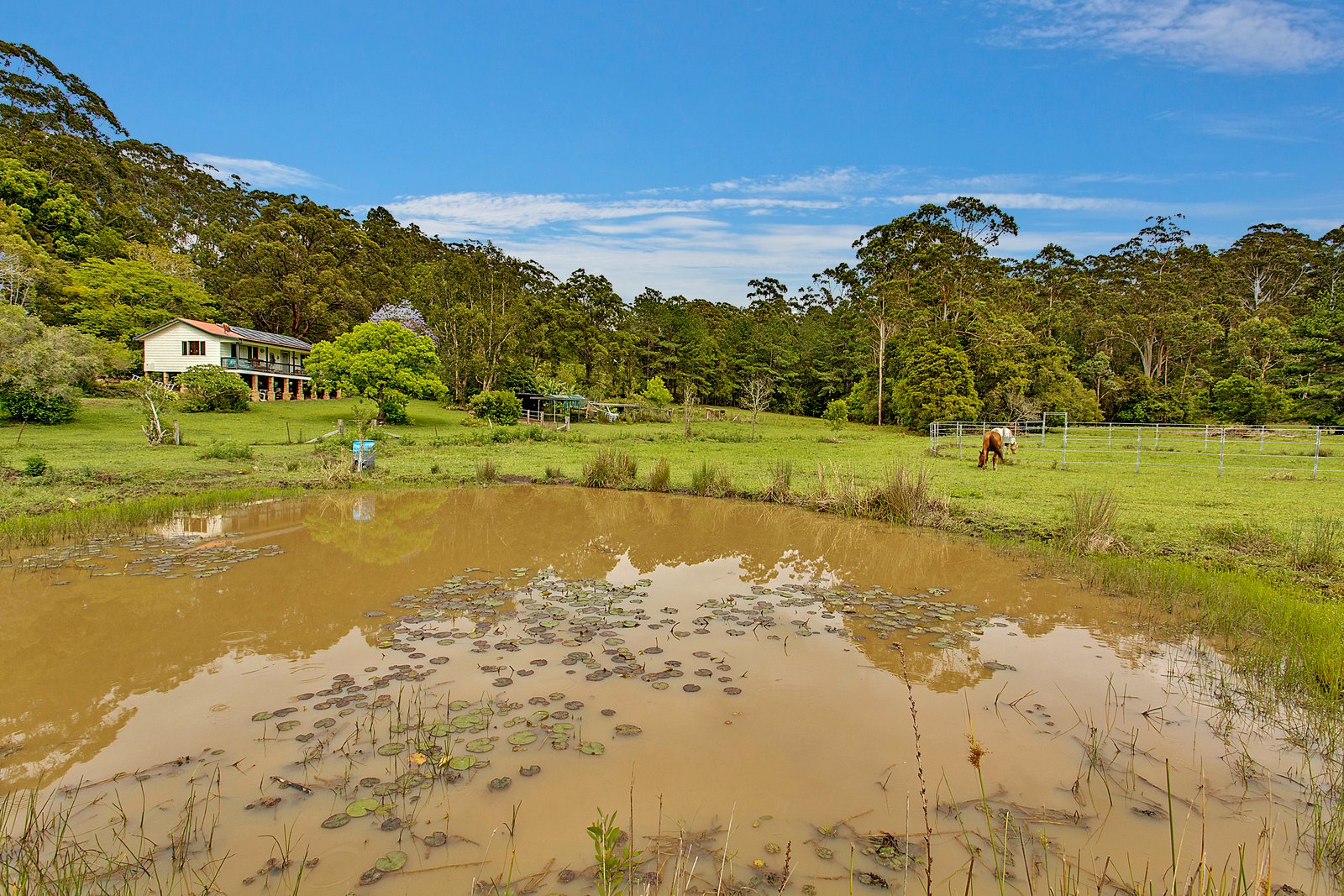 24 Juhles Mountain Road MOORLAND 15