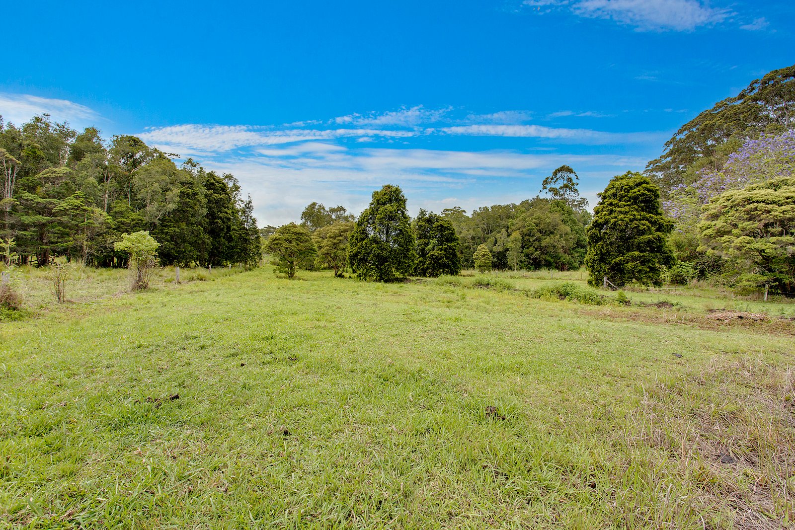 24 Juhles Mountain Road MOORLAND 16