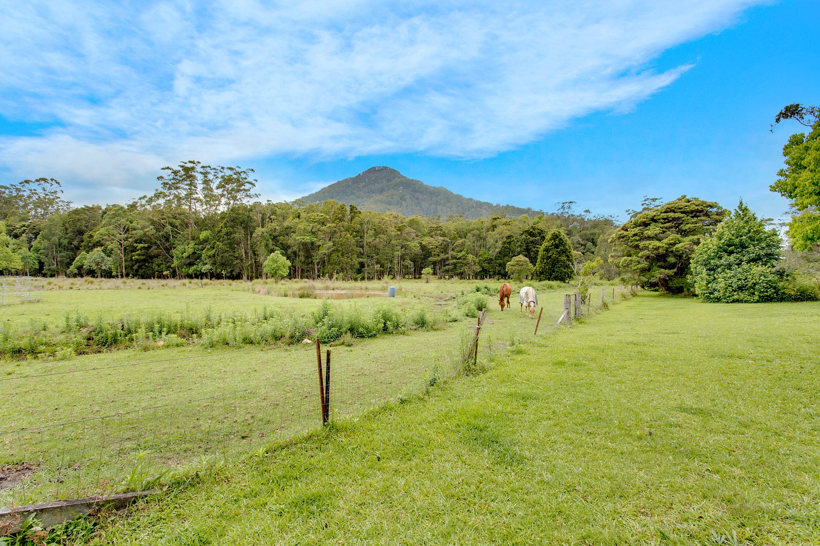 24 Juhles Mountain Road MOORLAND 18