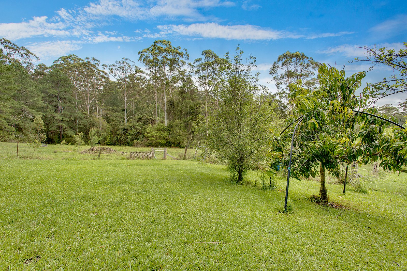 24 Juhles Mountain Road MOORLAND 20