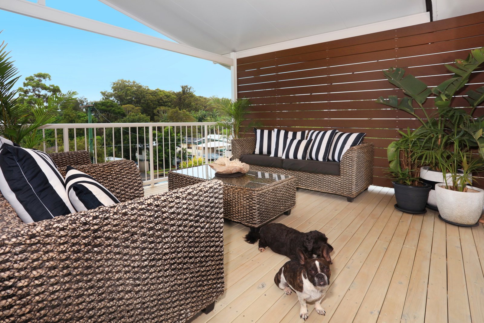 24 Kinarra Street ASHMORE 15