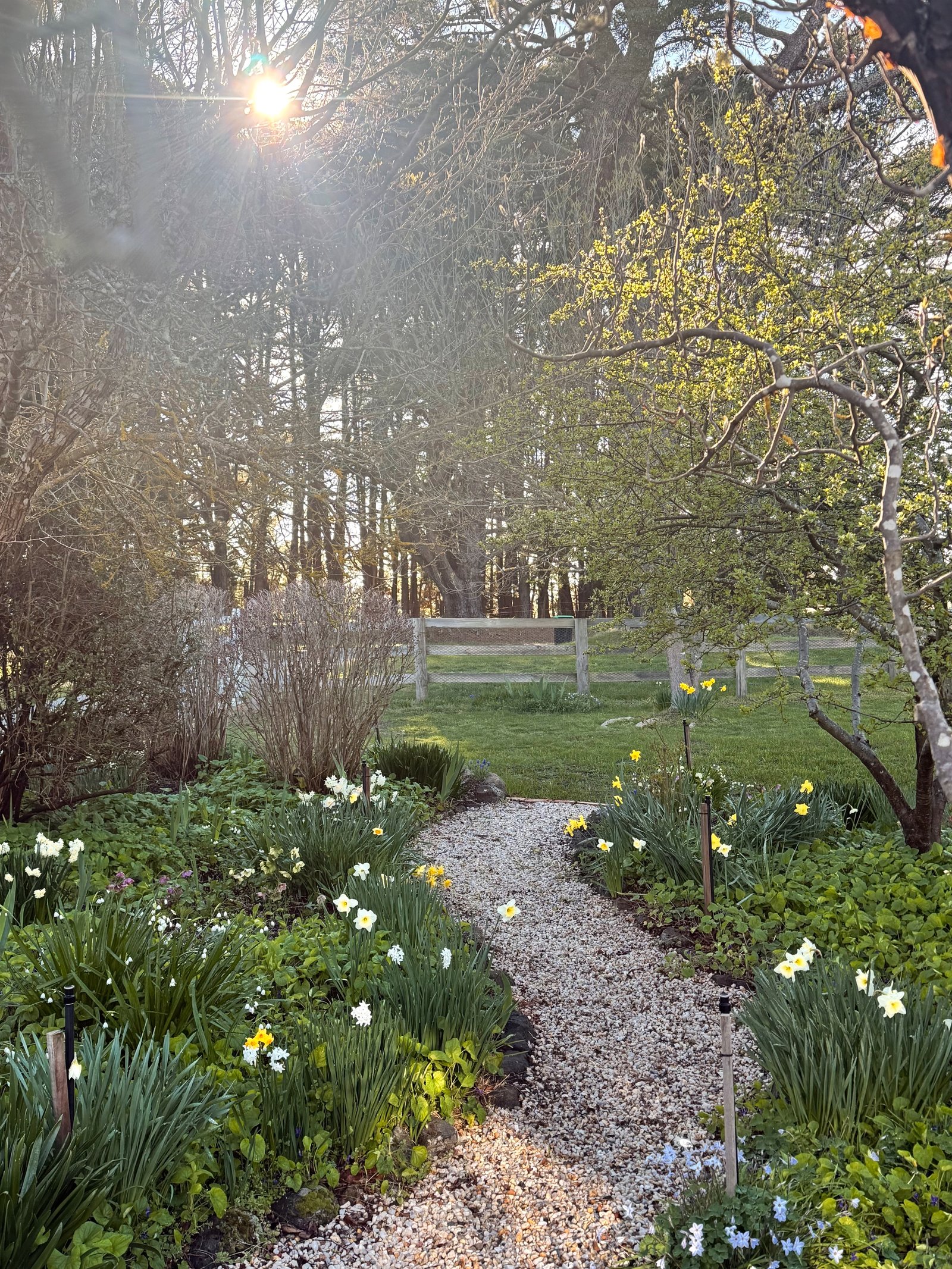 Real Estate and Property in 24 Lauriston Street, Malmsbury, VIC