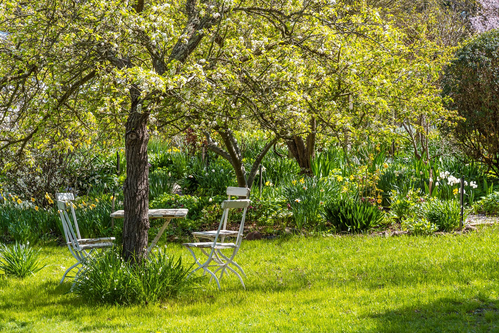 Real Estate and Property in 24 Lauriston Street, Malmsbury, VIC