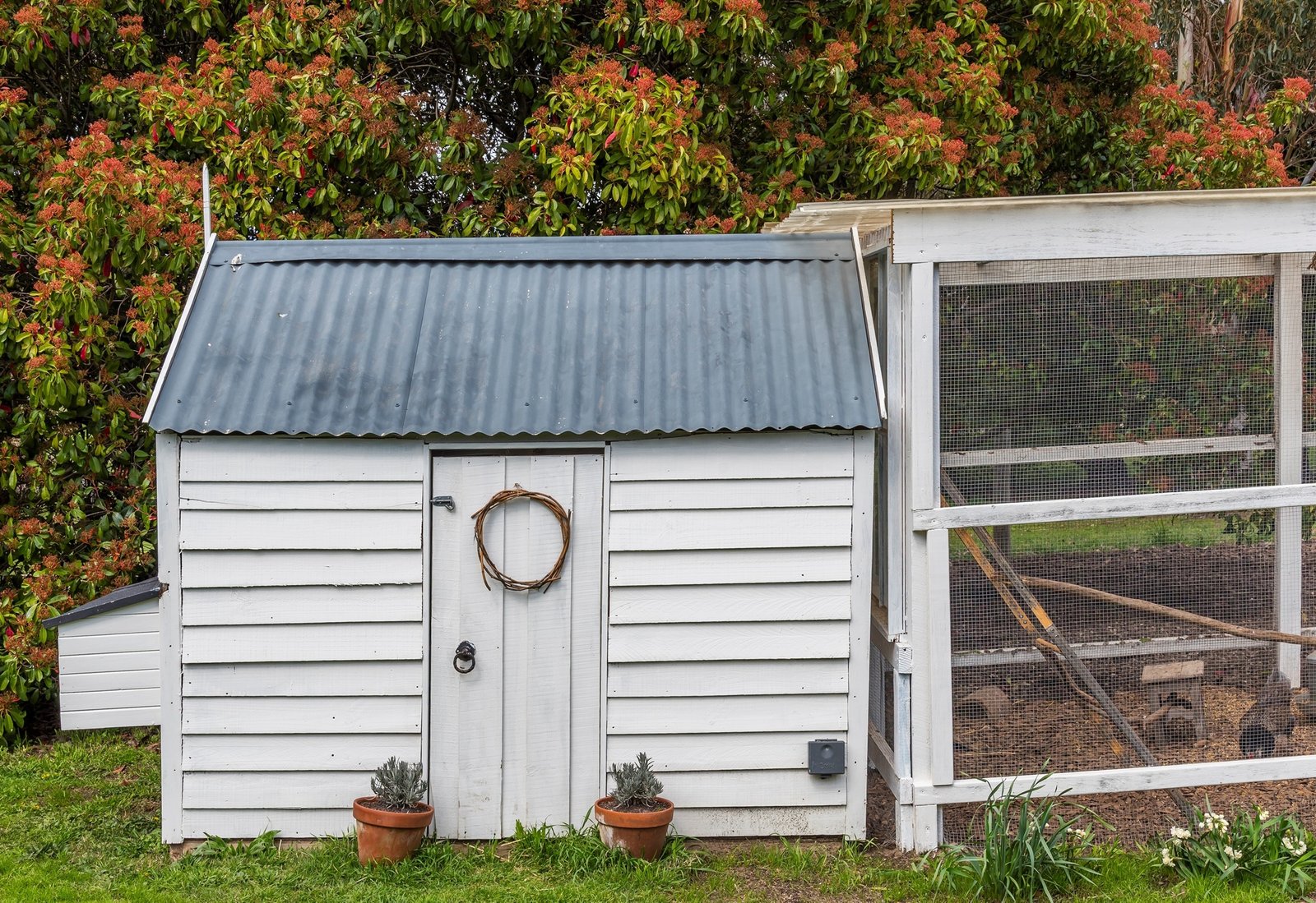 Real Estate and Property in 24 Lauriston Street, Malmsbury, VIC