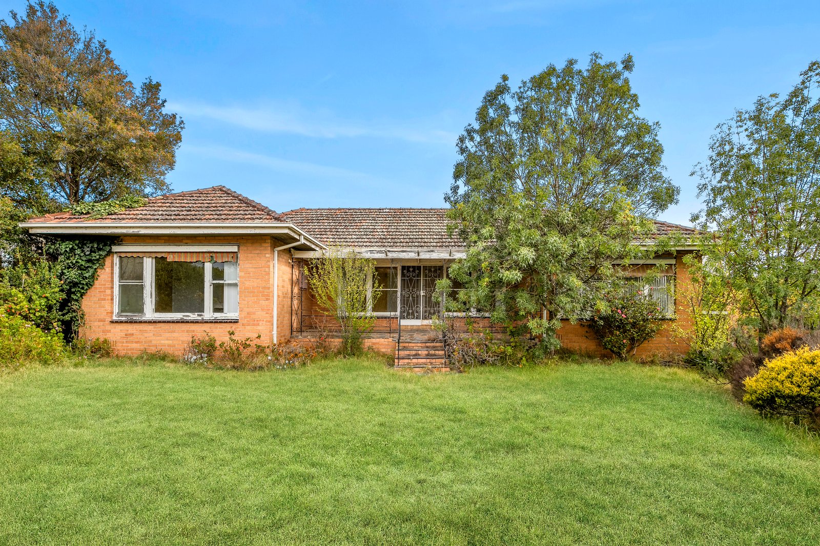 Gallery: 24 Layton Crescent