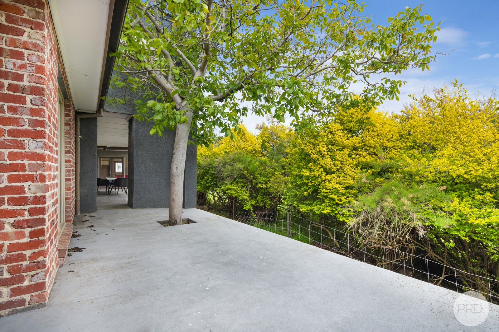 24 Lightfoot Avenue MOUNT PLEASANT 24