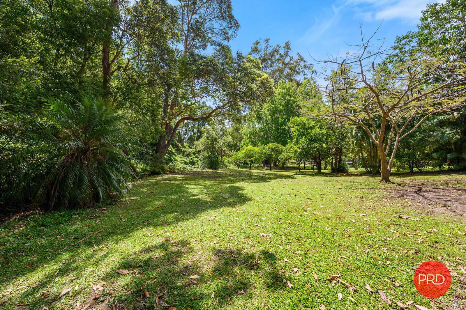 24 Loaders Lane COFFS HARBOUR 24