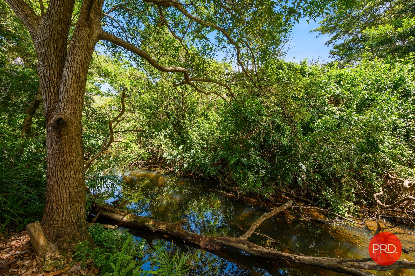 24 Loaders Lane COFFS HARBOUR 26