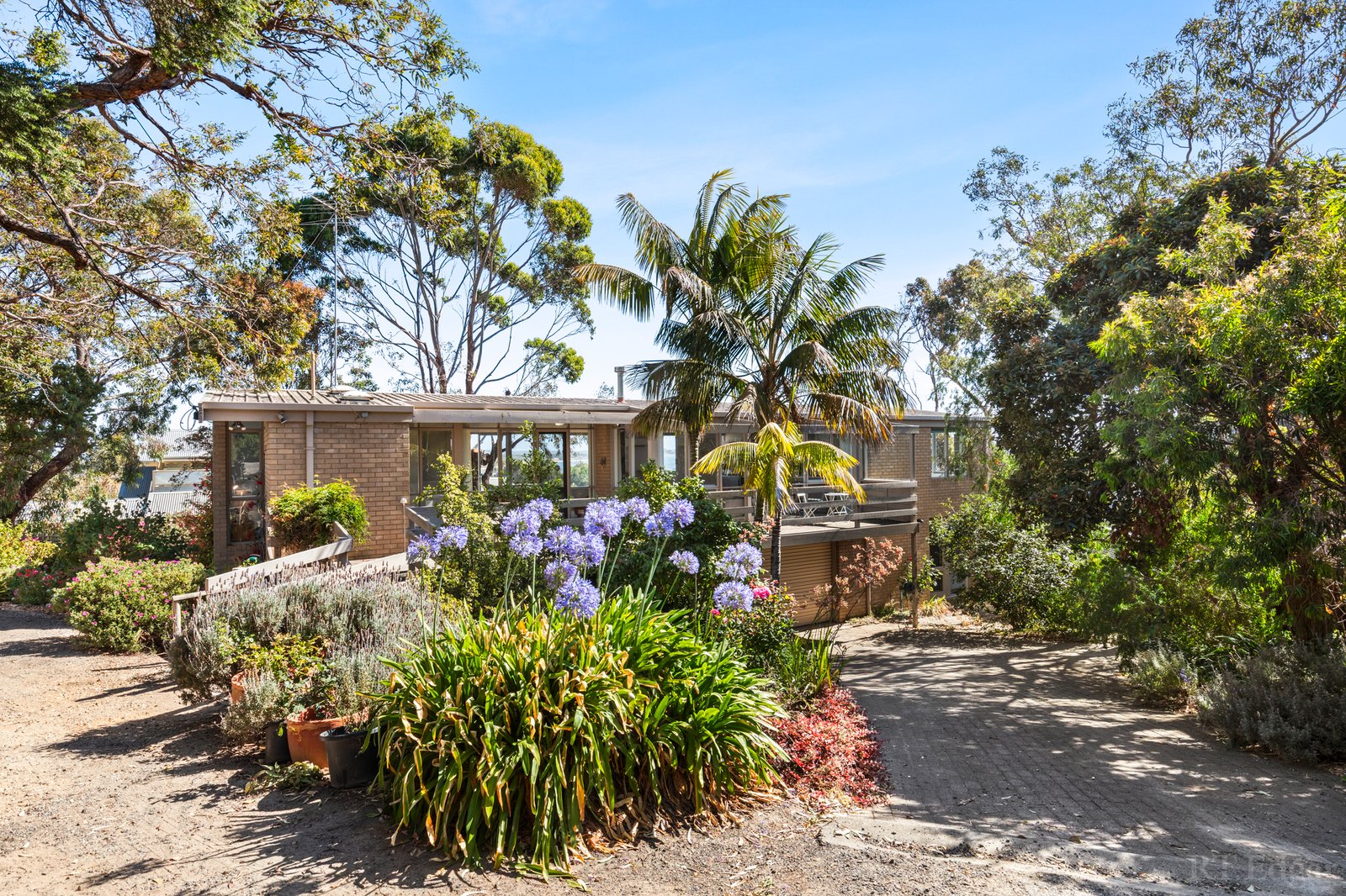 Real Estate and Property in 24 Mallaluka Avenue, Ocean Grove, VIC