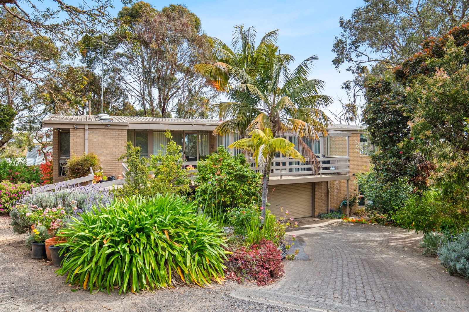 Real Estate and Property in 24 Mallaluka Avenue, Ocean Grove, VIC