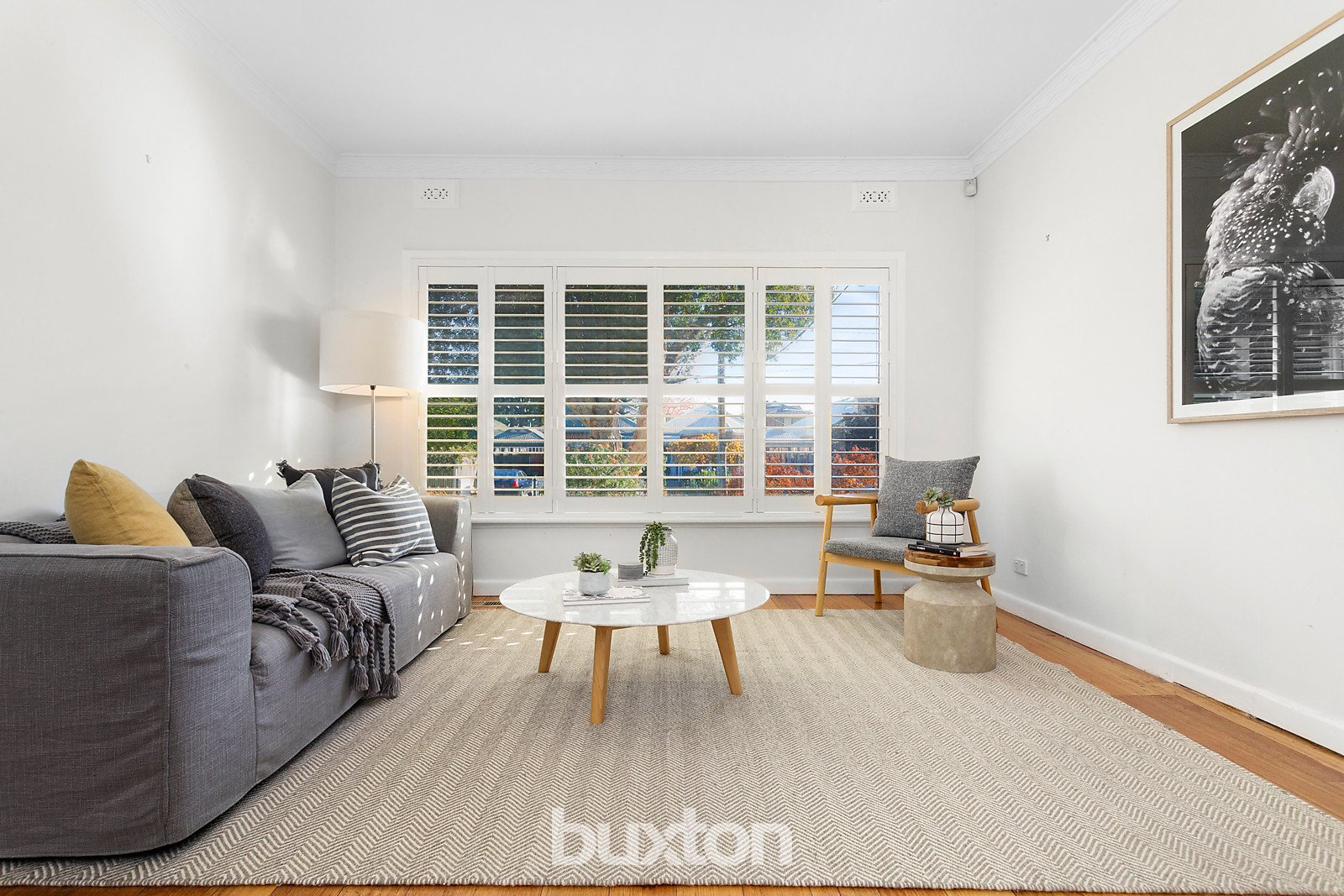 Gallery: 24 Munro Avenue