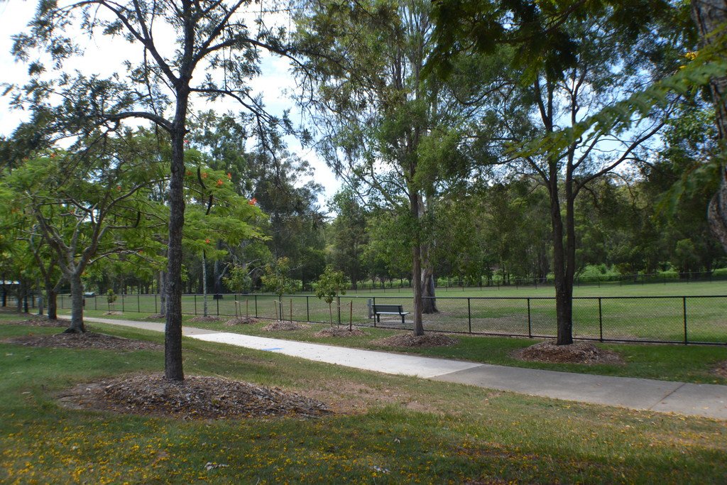 24 Nyora Street EVERTON HILLS 14