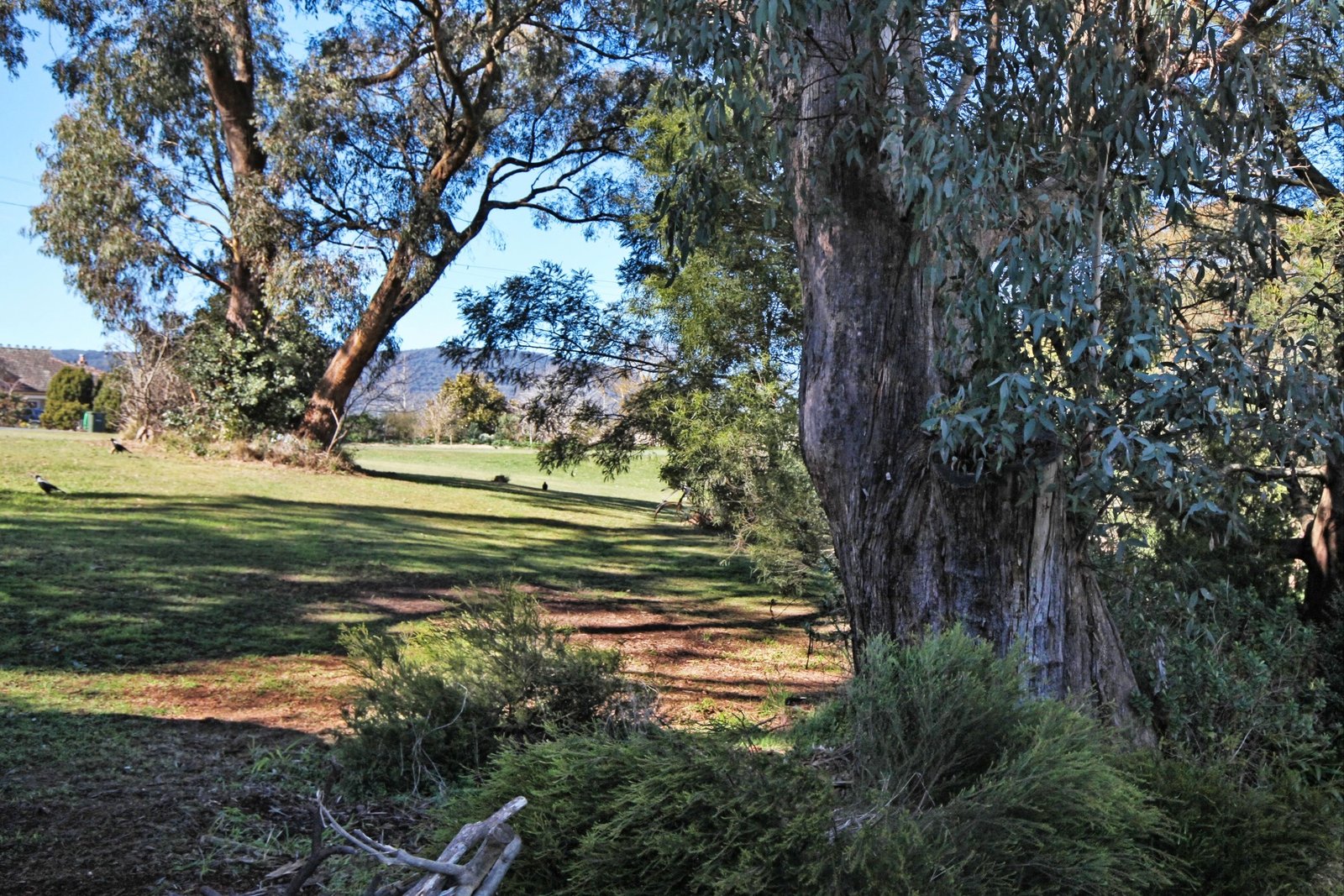 Real Estate and Property in 24 Owen Street, Woodend, VIC