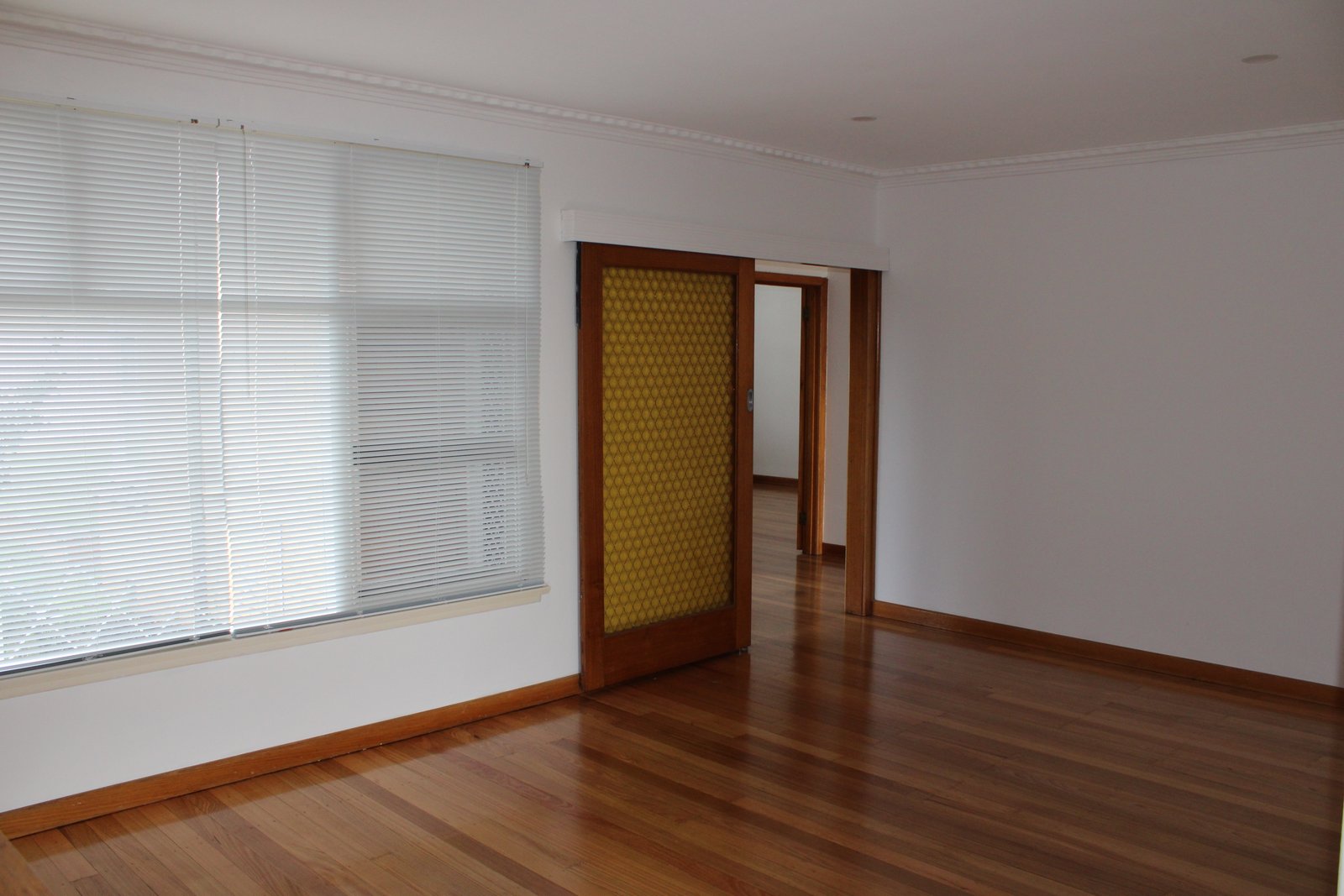 Gallery: 24 Peter Street