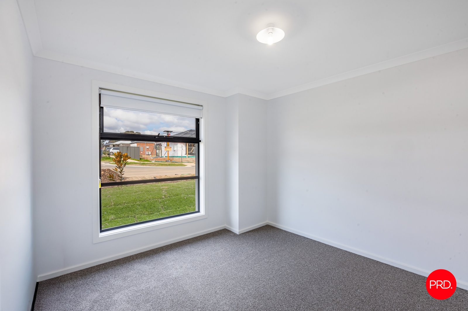 24 Riverlea Drive JACKASS FLAT 7