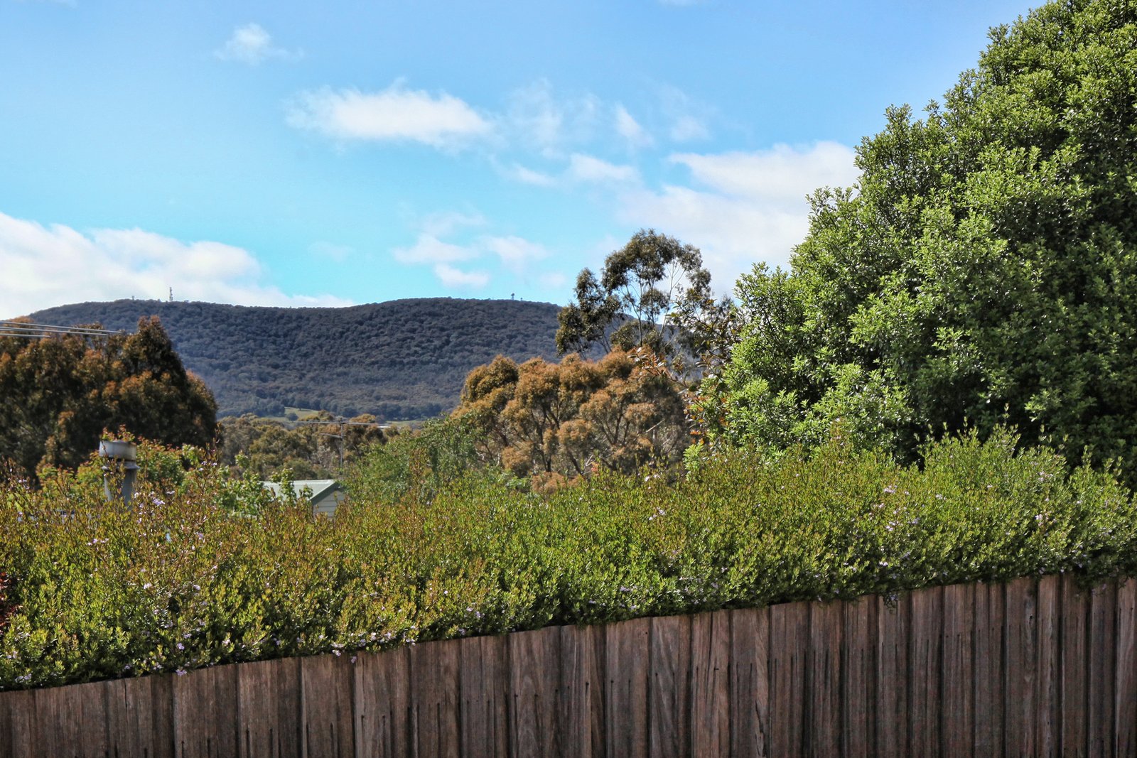 Real Estate and Property in 24 Russell Avenue, Woodend, VIC