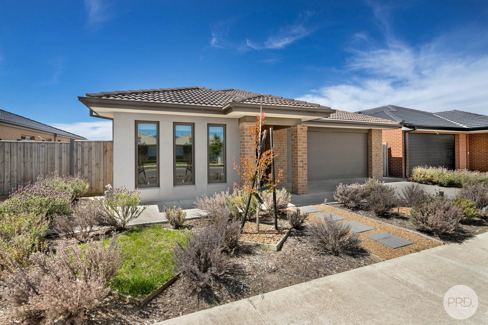 24 Telluride Drive WINTER VALLEY 1