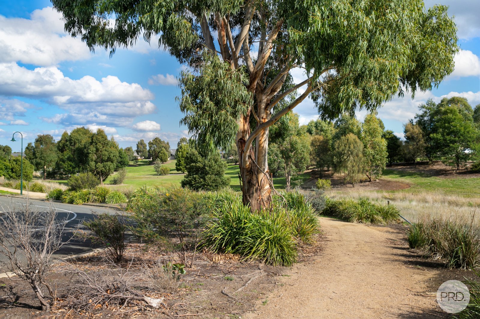24 The Ridge WINTER VALLEY 10