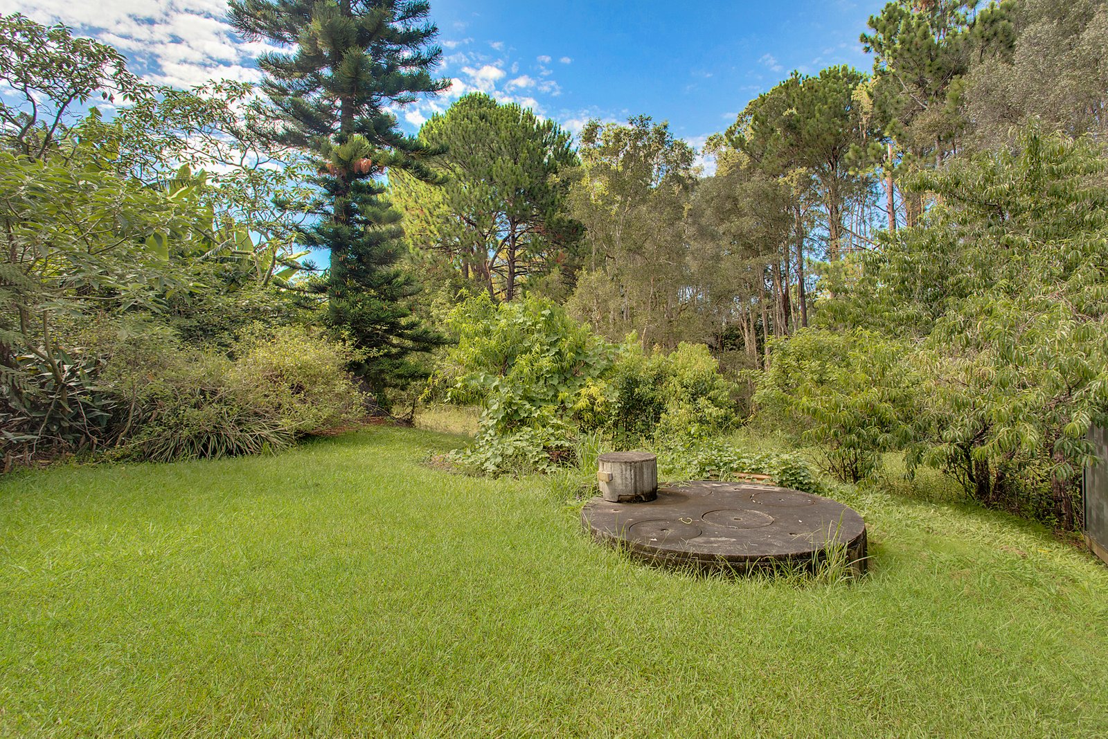 24 Thomas Street JOHNS RIVER 14