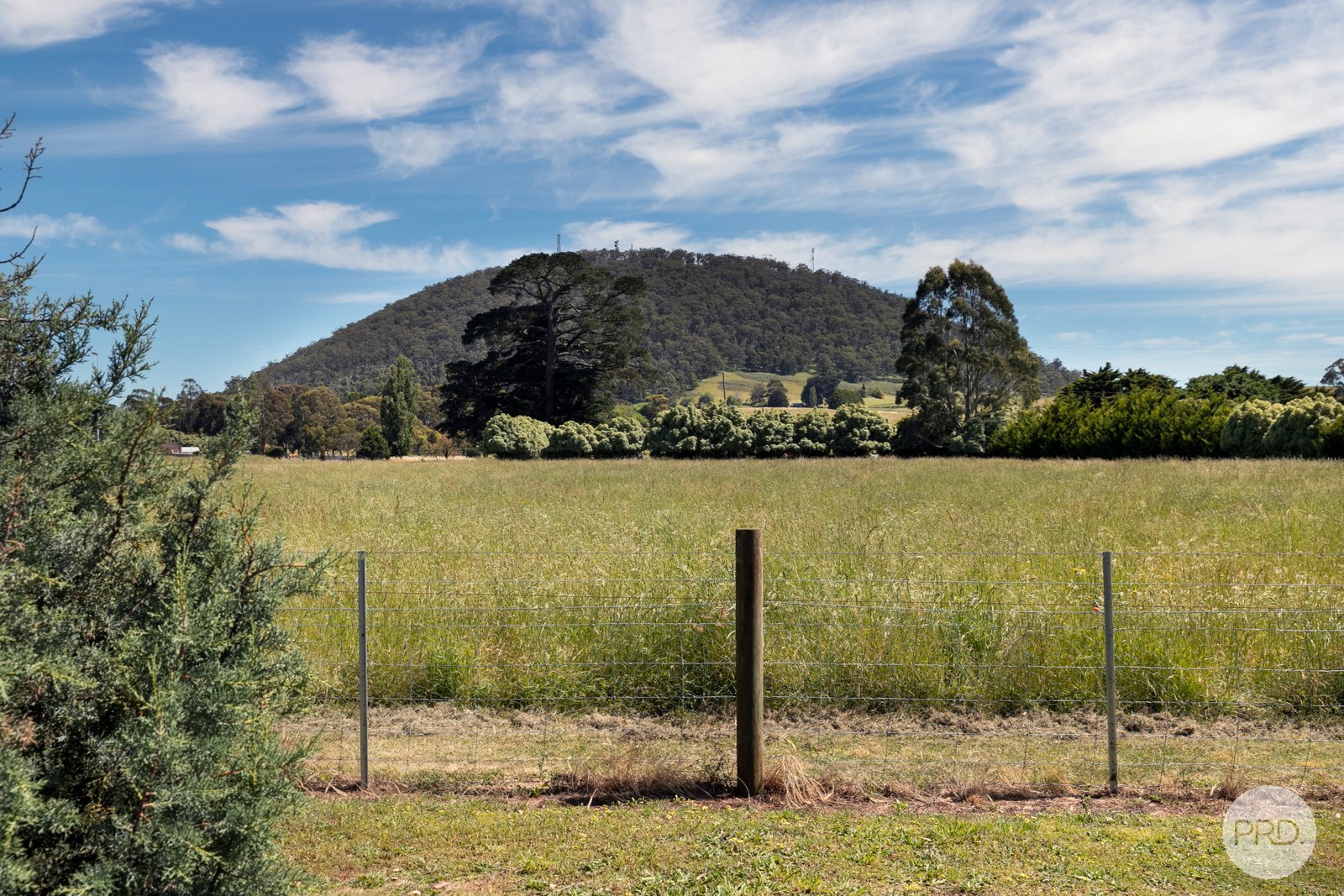 24 Ti Tree Road DUNNSTOWN 18