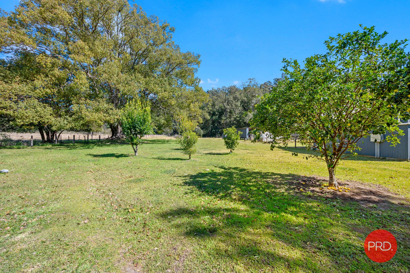 24 Timber Top Road GLENREAGH 12